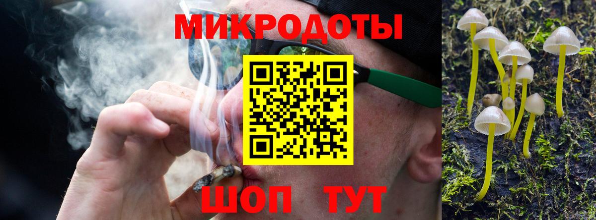 ГАШ Ивантеевка