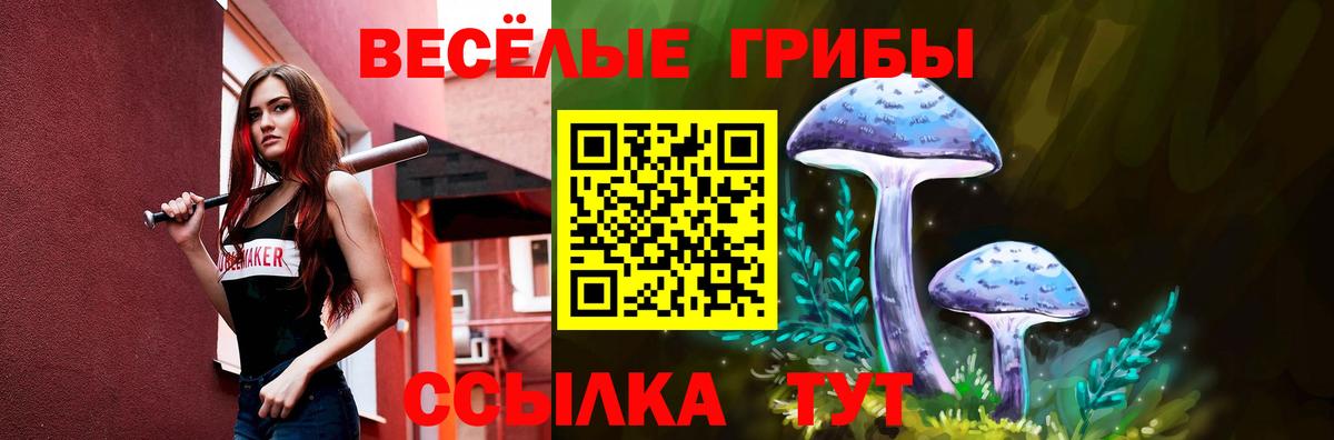 Ивантеевка  Галлюциногенные грибы мухоморы  Псилоцибиновые грибы мухоморы  Вход с VPN 